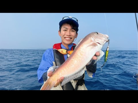 猫の動画サムネイル - 【週末おさかな部】8月ぬりえ「夏に美味しいさかな」🎨🐟vol.130
