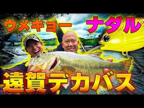 【陸っぱりバス】ナダルが遠賀川でデカバスを釣る！