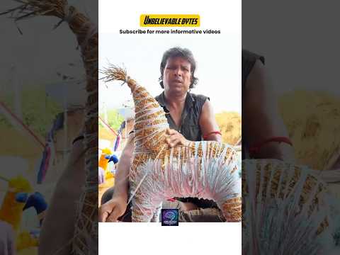 Turning Dry Grass into a Royal Horse Toy! | hindi fact shorts | #hindifacts #youtubeshorts