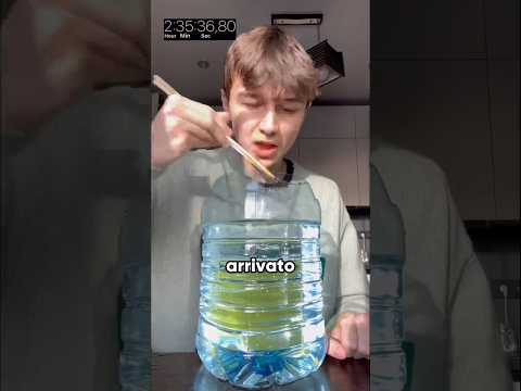 Ha bevuto 5L d'acqua con delle bacchette!😱🫶🏻