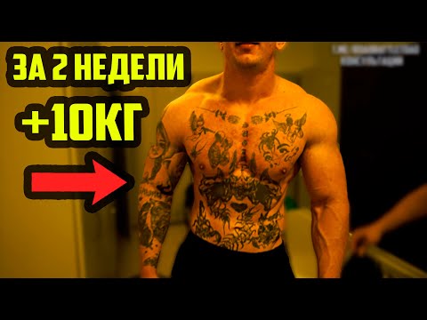 Откат оказался не откат - Руки уже 44см - вес +10кг за 2 недели, просто добавили еду