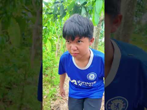 12H Trưa #viral #shorts #longcaolanh