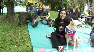 Así es el picnic mundialista con los perros veteranos del centro de bienestar animal La Perla