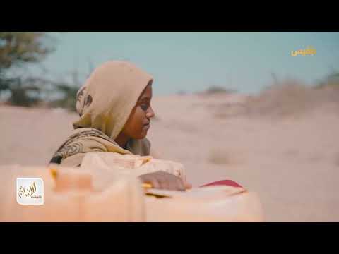 قناة بلقيس الفضائية