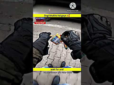 Dogi bahut bhukha? hai gusy pro rider help for dog #viral#zx10r#zx150r#helping#waitforend#izsurya