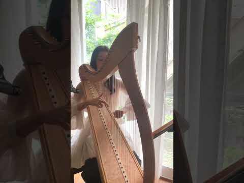 ハープで『ダニーボーイ/Danny Boy-Irish music』 #ハープ #演奏 #harp