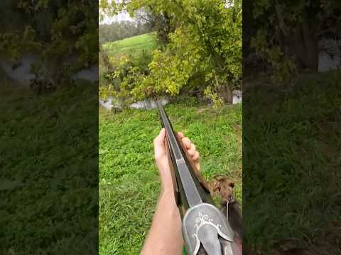 Duck Hunting with my Shotgun and Dachshund Hubi