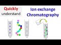 Ion Exchange Chromatography Concepts