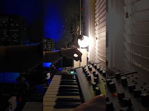 Grandmother Moog Synth (Sweeps & Sounds #synth #moog #grandmothermoog