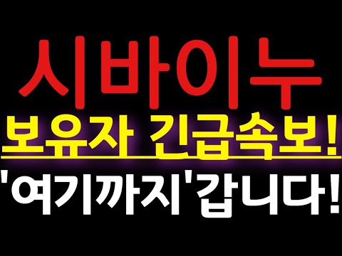 🔴[ 시바이누 ]🔥긴급🔥보유자 긴급속보!!!🔥"여기까지" 갑니다!!🔥