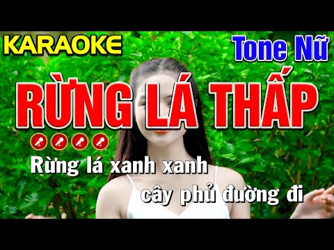 ✔ RỪNG LÁ THẤP Karaoke Tone Nữ | Bến Tình