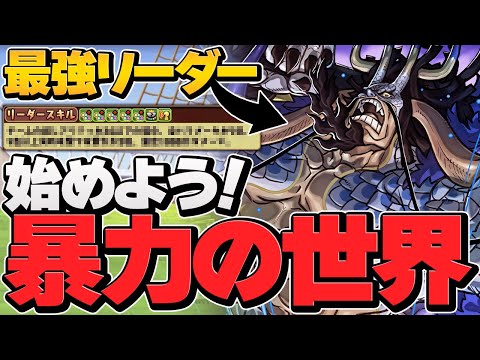 全パラ25倍の世界を始めよう！パズドラ史上最強のリーダースキル！カイドウで未知の新星！【パズドラ】