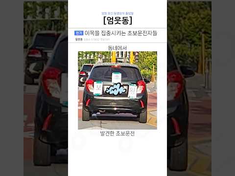 이목을 집중시키는 초보운전자들ㅋㅋ