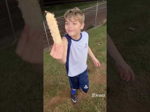 #kwai #appVeja mais drama com Kwai