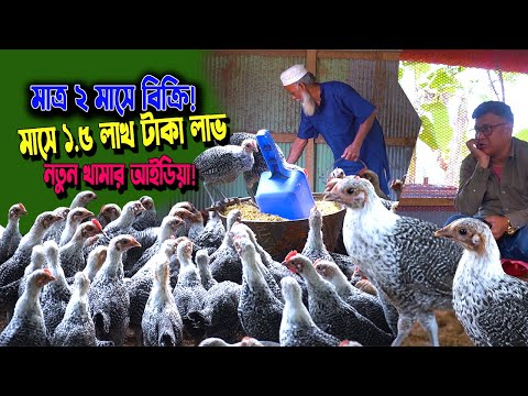 নোয়াখালীর আ: মান্নান সাহেবের সফল ফাউমি মুরগি খামার | মাত্র ২ মাসে বিক্রি, মাসে ১.৫ লাখ টাকা লাভ!