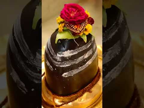 #Har Har Mahadev 🙏🏻🙏🏻🙏🏻🙏🏻🙏🏻🙏🏻🙏🏻🙏🏻🙏🏻🙏🏻🙏🏻🙏🏻🙏🏻🙏🏻