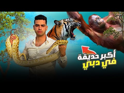 من مصر الي دبي (اكبر حديقة حيوان في دبي )