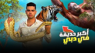 من مصر الي دبي (اكبر حديقة حيوان في دبي )