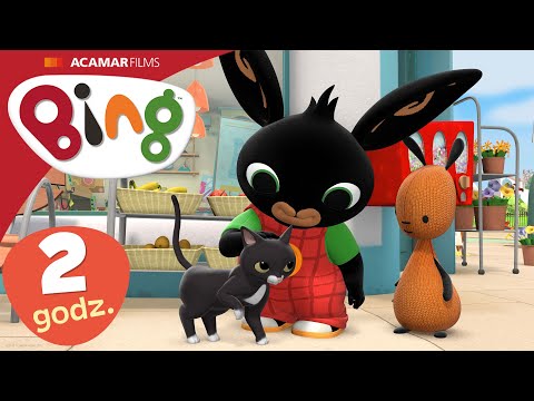 Kot, Występ oraz INNE | 2+ godz. | Bing Polski