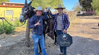 ME VISITÓ EL PILOTO Y SU ESTILO Y NOS FUIMOS A REVISAR LAS BEEFMASTER 🐄🐎🌞🌿🌳#ranchero95