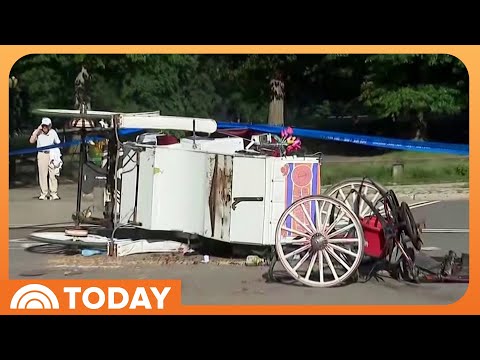 Calls Grow to Ban Horse-Drawn Carriages in NYC After Teen Dies