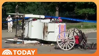 YouTube video thumbnail: Calls Grow to Ban Horse-Drawn Carriages in NYC After Teen Dies
