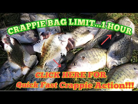 How I Caught Crappie Bag Limit 1 Hour (Crappie Tips) Crappie Town USA Baby