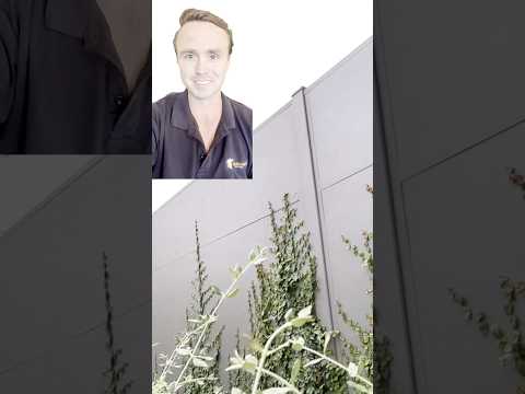 From noisy 🛣️ to serene 🌳 this beautiful acoustic barrier fence transforms the space!