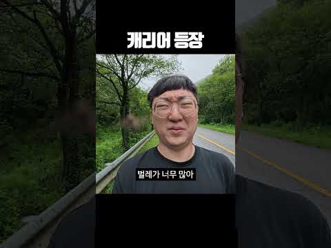<strong>캐리어</strong> 등장