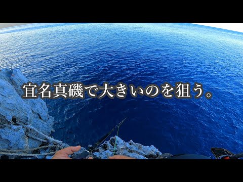【宜名真】太ハリスで挑んでみた！！【沖縄釣り】