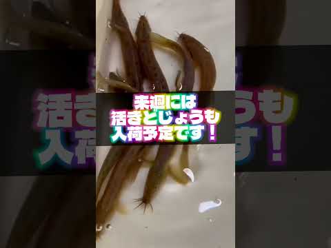 ご来店お待ちしております❗️