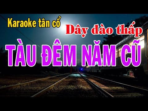 Karaoke tân cổ TÀU ĐÊM NĂM CŨ – DÂY ĐÀO THẤP (Đô)