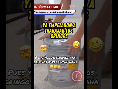 Gringos trabajando duro 😂 #usa #gringos #migrantes #mexico #news