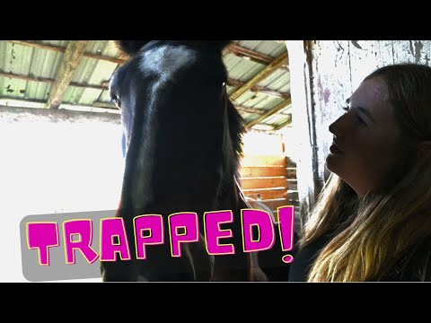 Trapped In The Horse Barn!