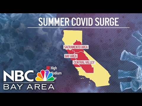 Summer surge: Wastewater data shows high levels of Covid