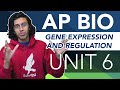 Molecular Biology Concepts Assessment