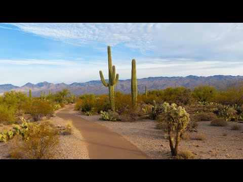 In an undisclosed location in Arizona an inventor claims to have a solid-state free energy device