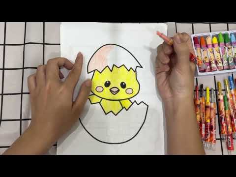 How to color egg chicken cute