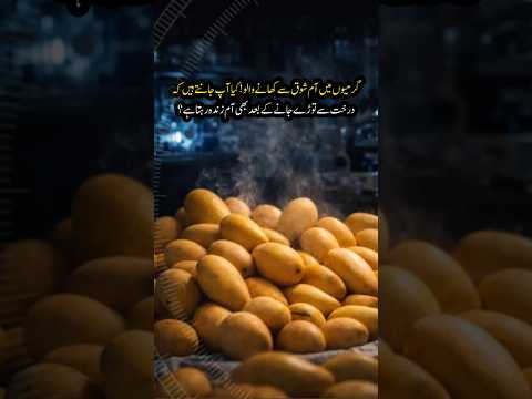 Amazing Facts About Mango
