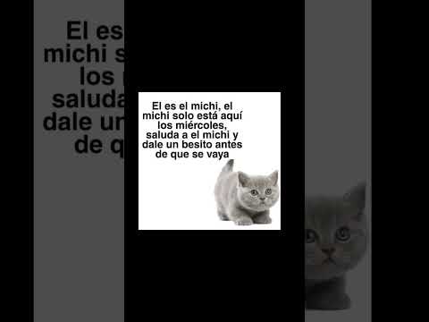 hola amiguitos🤣 #meme #memes #gracioso #shortvideo #funnyshorts #reir #risas #bromas #jajaja #cat