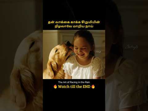 Dog that kept up his promise all his life | தன் வாக்கை காக்க சிறுமியின் நிழலாவே மாறிய நாய் | Infogle