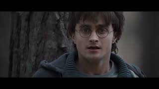 Rabbit Chase in the Forest - Harry Potter and the Deathly Hallows Part 1 Deleted Scene