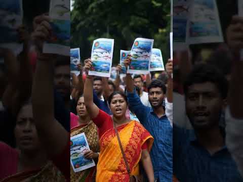 দাবি✊ #shortsvideo #funny