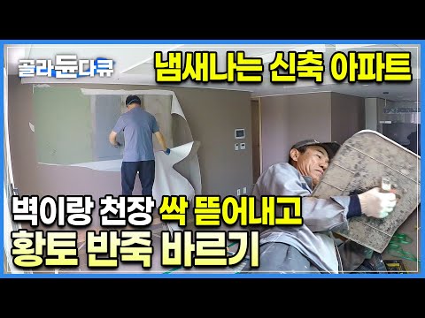 이제 막 입주한 신축 아파트에서 새집 냄새가 난다. 천장 도배 다 뜯어내고 비법 레시피로 만든 황토 반죽 바르는 방법 I 새집증후군 잡는 황토 리모델링 I 극한직업 I #골라듄다큐