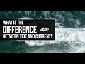 Understanding Tides and Rip Currents