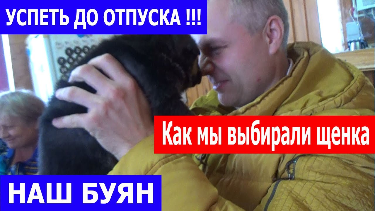 Успеть выбрать щенка до отпуска в Таиланд
