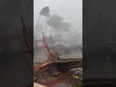 Bão số 10 Bualoi tàn phá miền trung