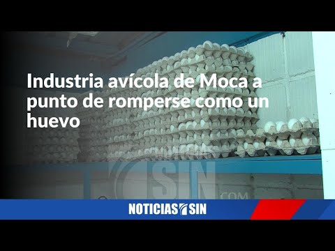 Industria avícola de Moca en crisis