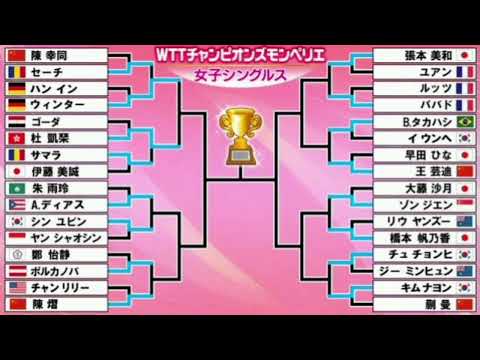 🔥 Shocking Upsets in France! Miwa Harimoto Advances at WTT Champions Montpellier 🇫🇷💥