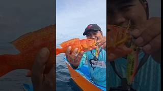 #teknikmancing #fishing #mancing #mancingmantap #mancingmania #tokitoki #fish #mancingikancantik